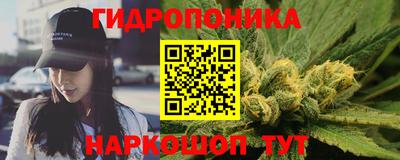 гашик Кинель