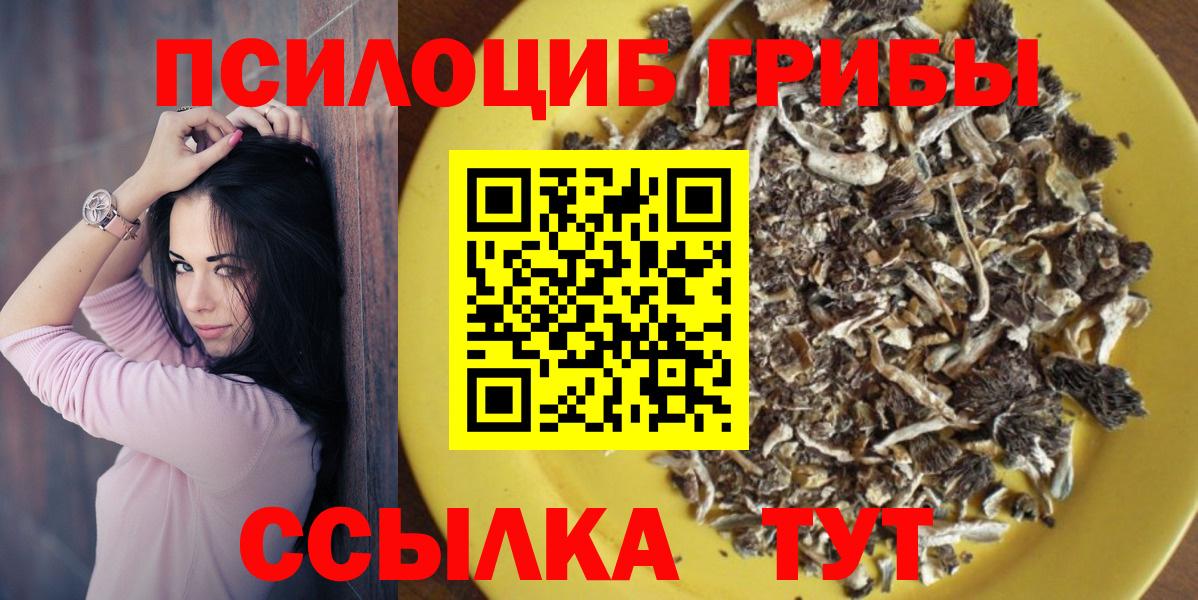 Галлюциногенные грибы Psilocybe  Псилоцибиновые грибы Magic Shrooms  Вход с VPN  Кувандык 